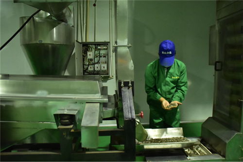 石油工人心向黨 服務(wù)人民辦實(shí)事——新材料技術(shù)研發(fā)助力能源產(chǎn)業(yè)高質(zhì)量發(fā)展