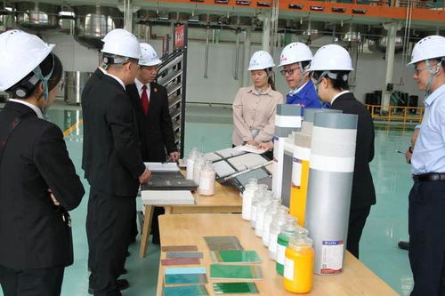 立足知識產權保護，協同企業創新發展——江州區法院舉辦新材料技術研發領域知識產權保護宣講座談會